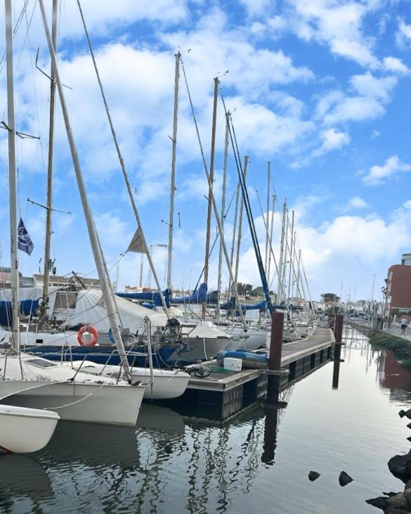 Studio Cosy Climatise Vue Sur Port Agde Dış mekan fotoğraf